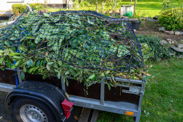 Best Hoarding Cleanup  in Chesapeake Ranch Estates, MD
